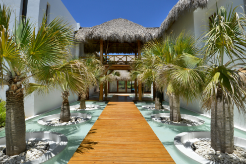 Spectacular Villa for Sale in Cap Cana – Punta Cayuco Iana Rogova