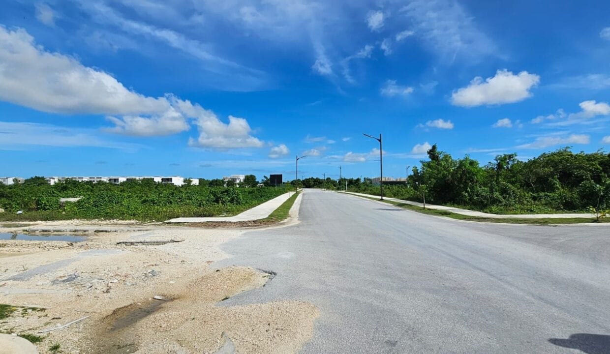 Paseo Del Sendero Vista Cana Iana Rogova