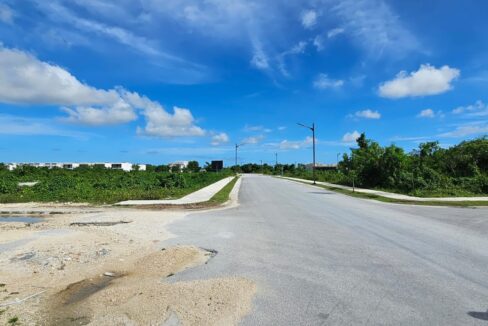 Paseo Del Sendero Vista Cana Iana Rogova