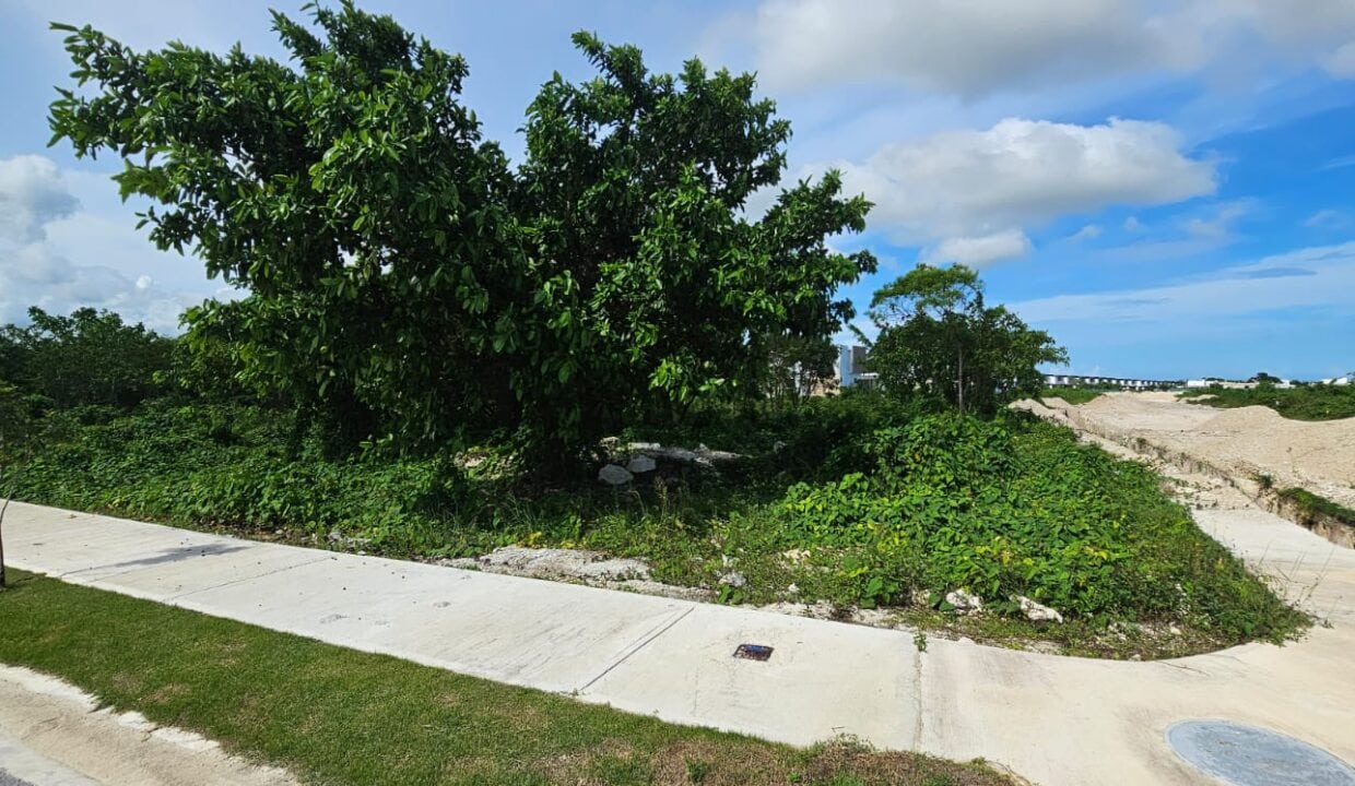 Paseo Del Sendero Vista Cana