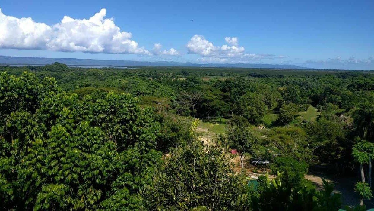 Tropical Land with Ocean View in Majagual, Samaná (1)