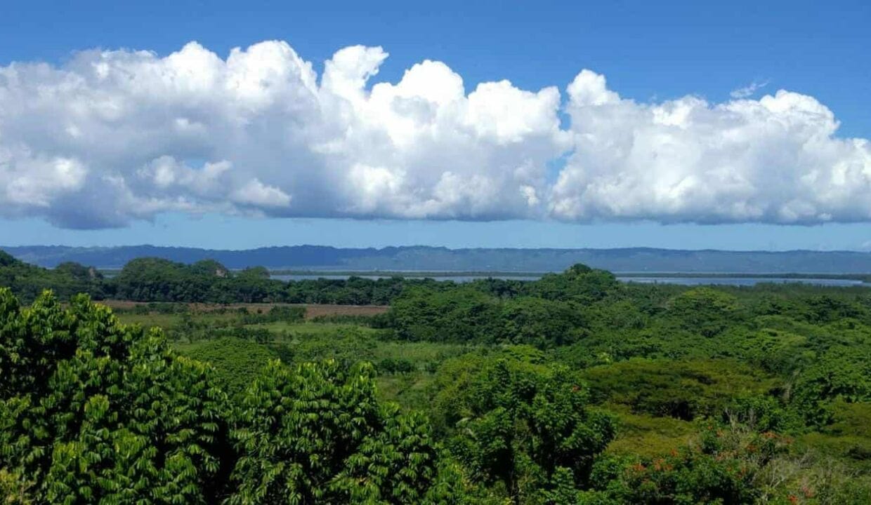 Tropical Land with Ocean View in Majagual, Samaná (2)