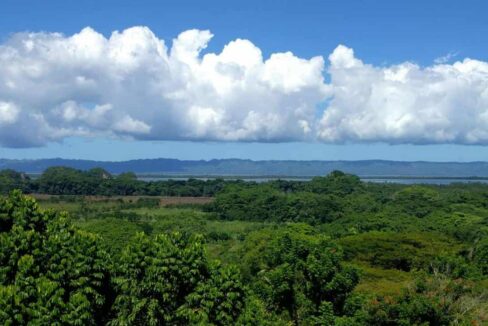 Tropical Land with Ocean View in Majagual, Samaná (2)
