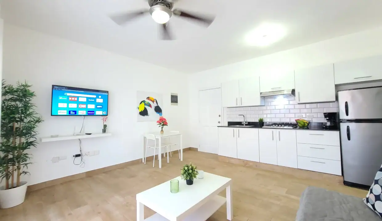 EL_DORADO_CONDO_FOR_SALE_PUNTA_CANA (8)