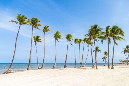Life_Style_Cap_Cana (6)