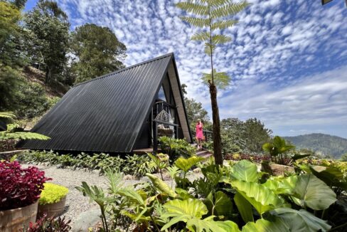 Villa surrounded by nature (51)