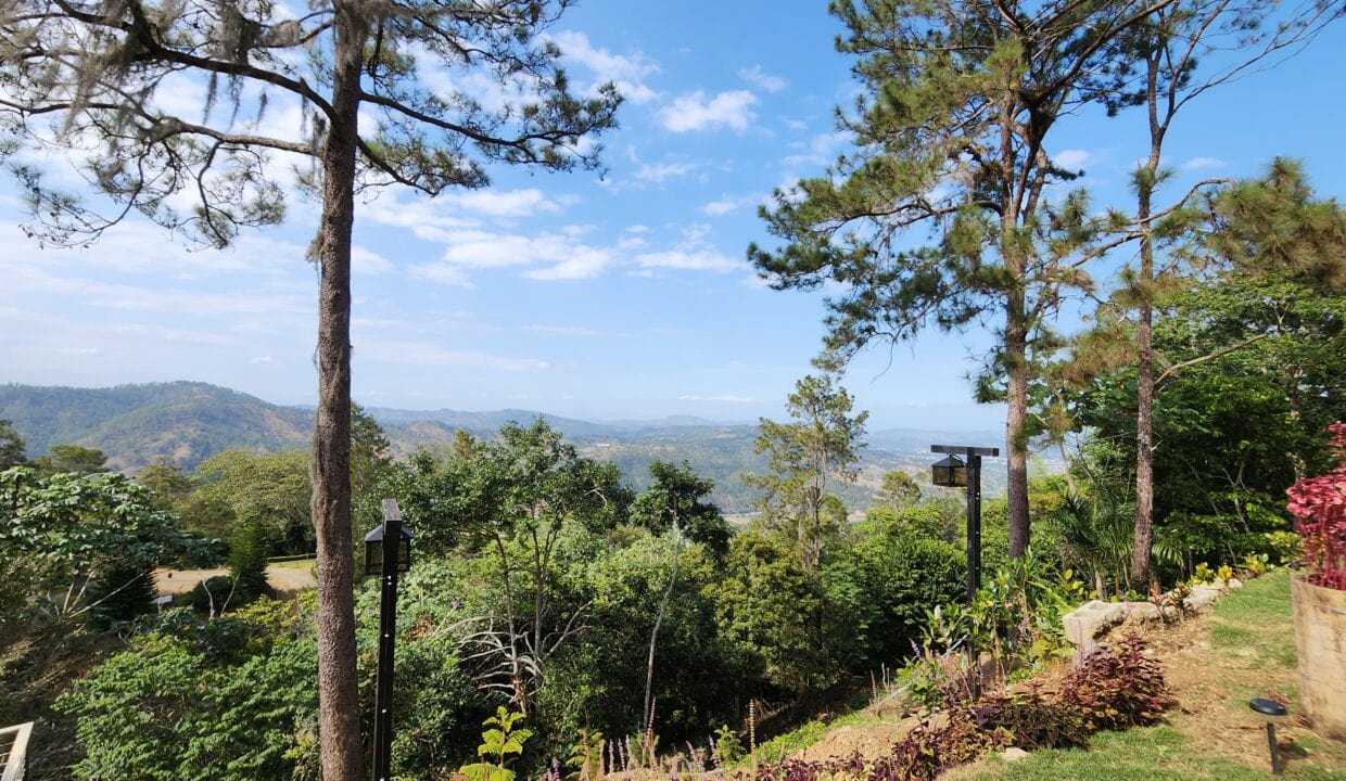 Villa surrounded by nature (8)